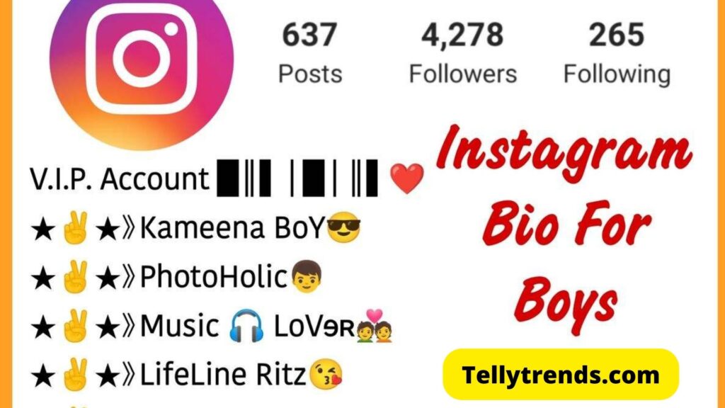 Best Instagram Bio For Boys 2023
