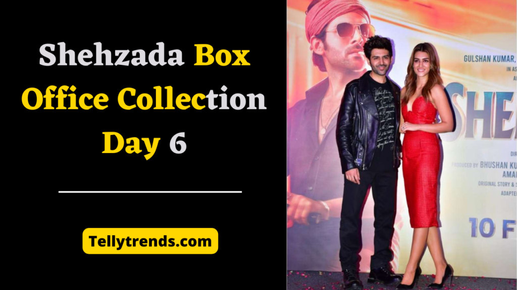 शहजादा बॉक्स ऑफिस कलेक्शन डे 6 | Shehzada Box Office Collection Day 6