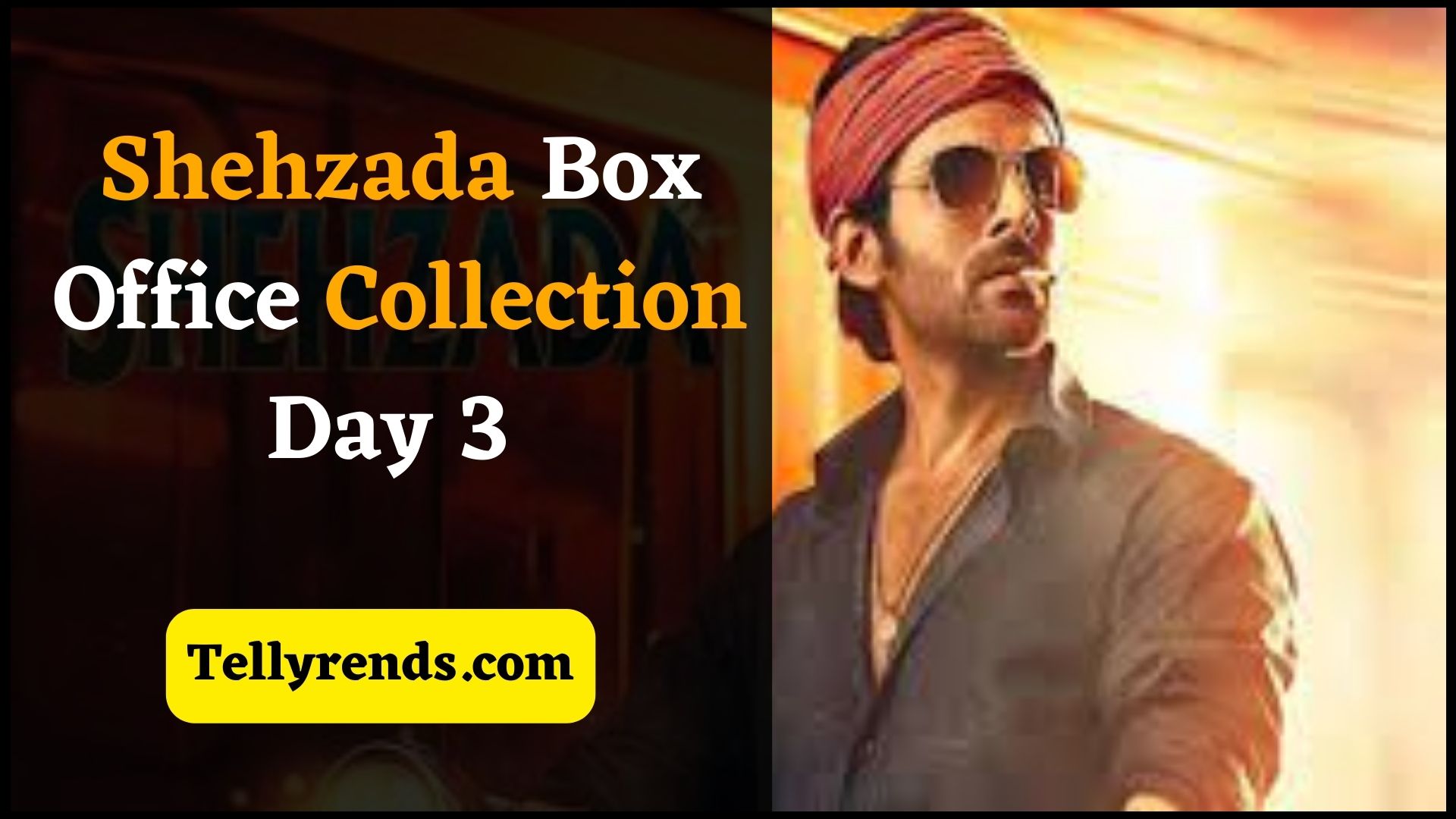 शहजादा बॉक्स ऑफिस कलेक्शन डे 3 | Shehzada Box Office Collection Day 3