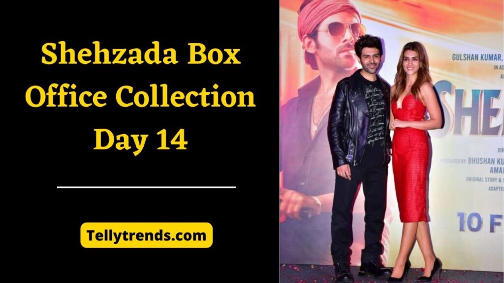Shehzada Box Office Collection Day 14